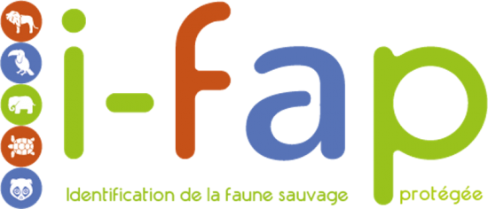 Logo site i fap 1